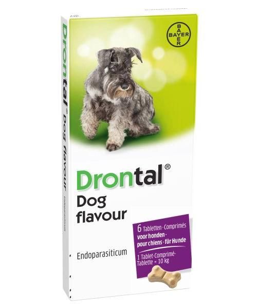 Bayer drontal hond