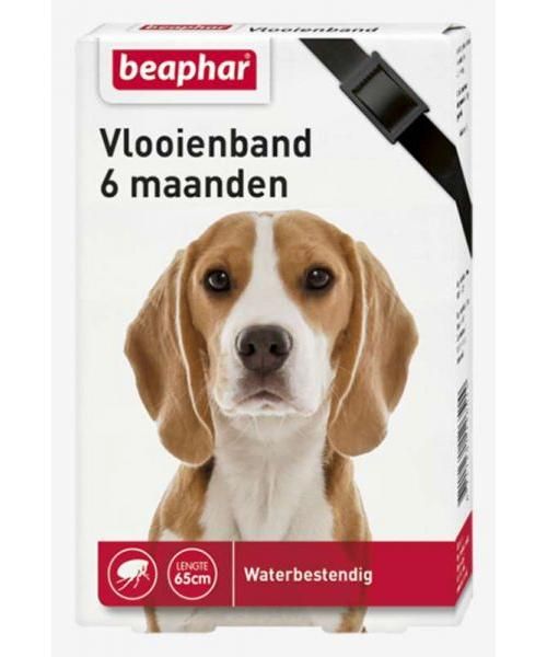 Beaphar diagnos vlooienband hond zwart 6 mnd