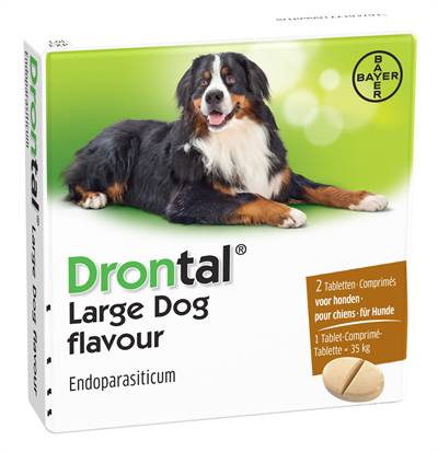 Bayer drontal hond large