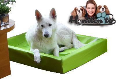 Bia bed lime Bia bed lime