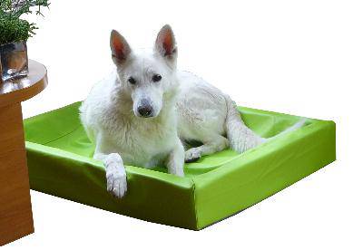 Bia bed lime