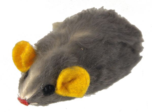 Adori bontmuis Adori bontmuis
