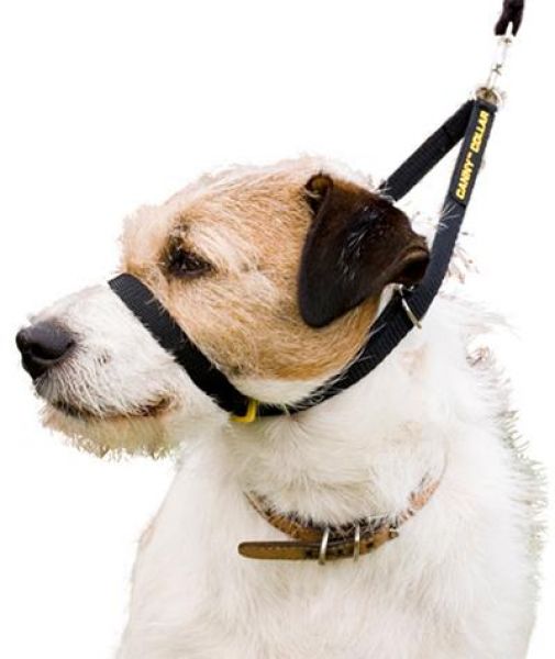 Canny collar zwart