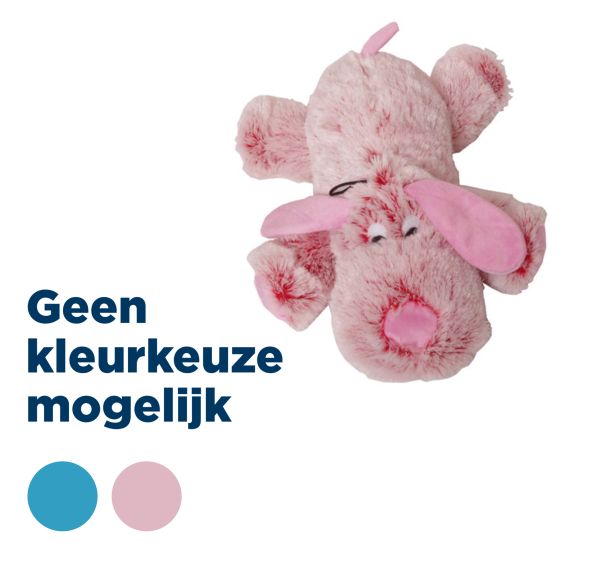 Boon harige hond roze blauw