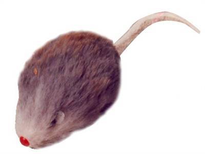 Boon bontmuis grijs