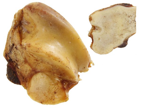 Petsnack runderknook met vlees